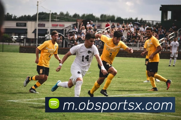 OB体育APP 高清赛事图